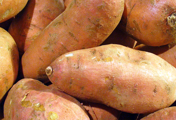 ベータカロチン(beta-carotene)の源であるサツマイモ