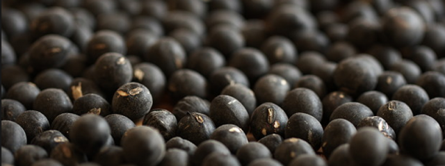 黒豆　-　ナトリウム排出に役立つ食品ベスト7
